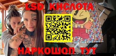 дмт Кандалакша