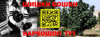 дмт Кандалакша