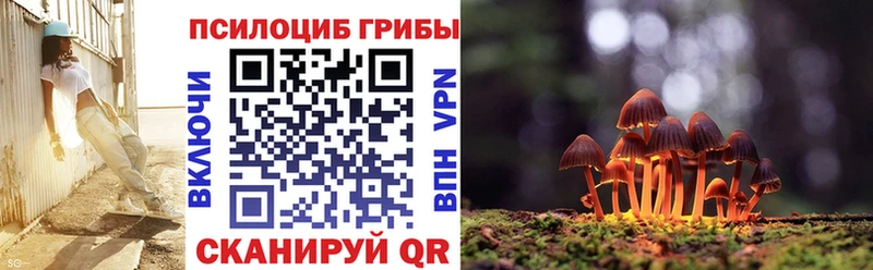 OMG ссылки  Южноуральск  Галлюциногенные грибы GOLDEN TEACHER 