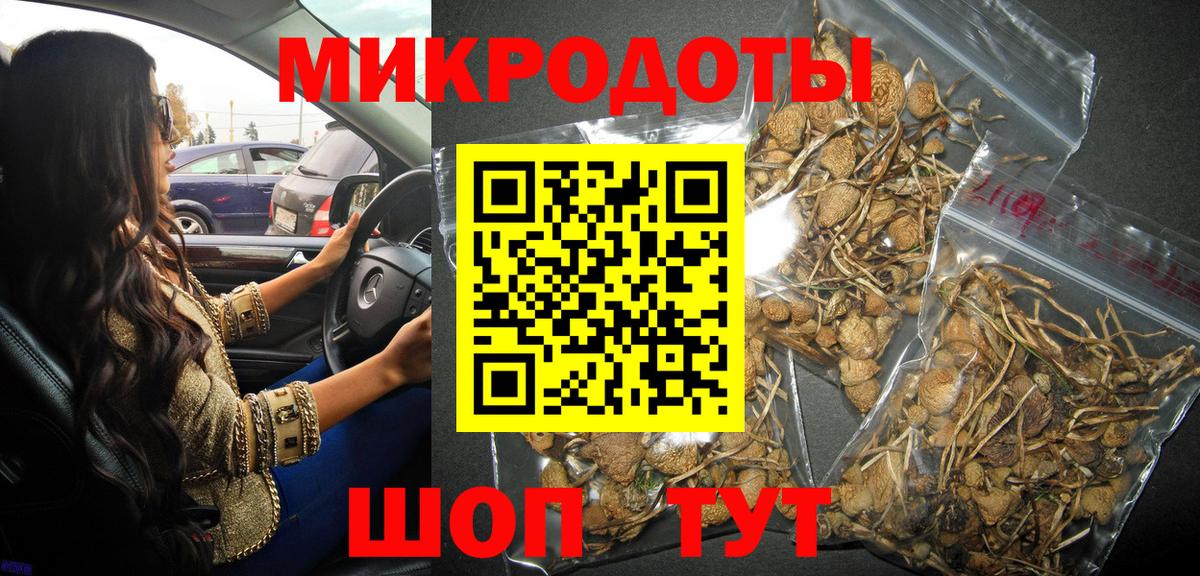 Псилоцибиновые грибы Psilocybine cubensis Южноуральск