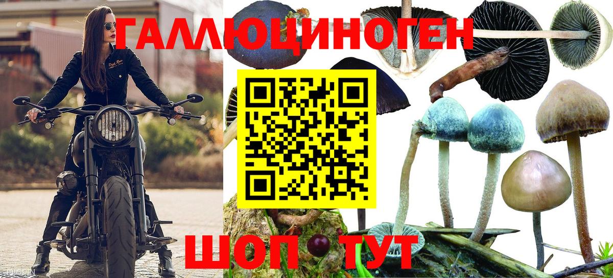 Псилоцибиновые грибы Psilocybe  Галлюциногенные грибы мухоморы  Южноуральск  Вход с VPN 